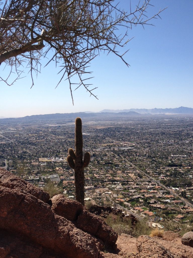 Phoenix view (image)