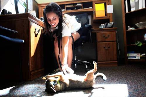 CT bring-dog-to-work03.jpg