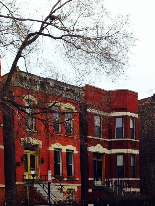 Wicker Park tour (image)